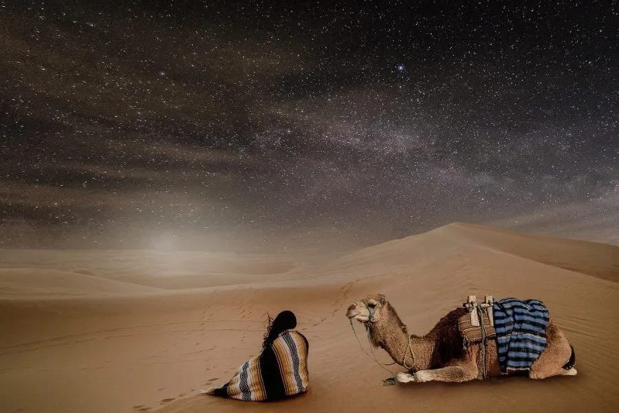 Discover the ultimate Morocco travel packages and luxury desert tours when you plan your next unforgettable vacation with Travmoro.