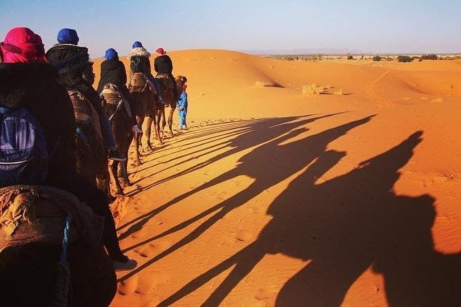 Travmoro specializes in custom itineraries including Marrakech city guides, Fes cultural excursions, and Chefchaouen blue city day trips for every budget